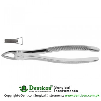 English Pattern Tooth Extracting Forcep (Child) Fig. 37 (For Upper Incisors and Canines) Stainless Steel, Standard